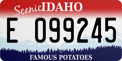 ID license plate E099245