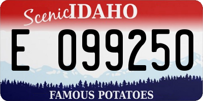 ID license plate E099250