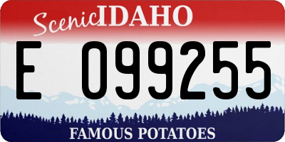 ID license plate E099255