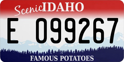 ID license plate E099267