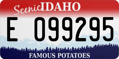 ID license plate E099295