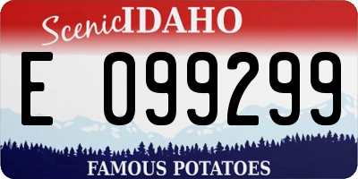 ID license plate E099299