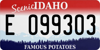 ID license plate E099303