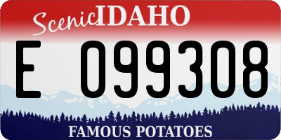 ID license plate E099308
