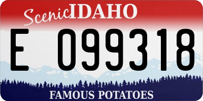 ID license plate E099318