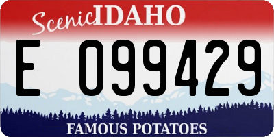 ID license plate E099429