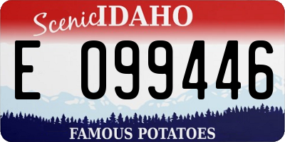 ID license plate E099446