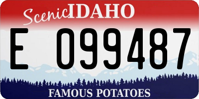 ID license plate E099487