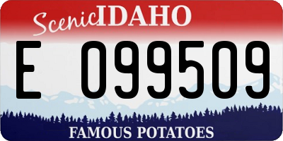 ID license plate E099509