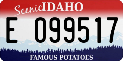 ID license plate E099517