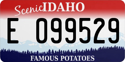 ID license plate E099529