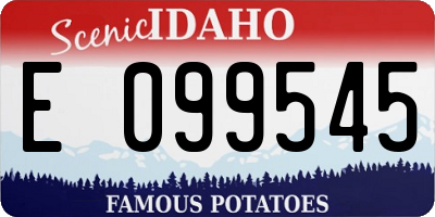 ID license plate E099545