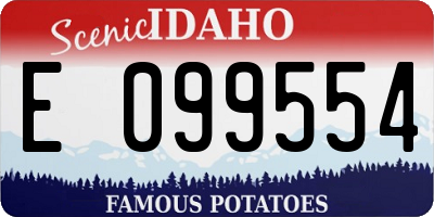 ID license plate E099554