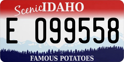ID license plate E099558