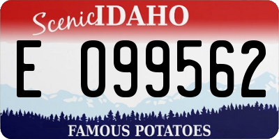 ID license plate E099562