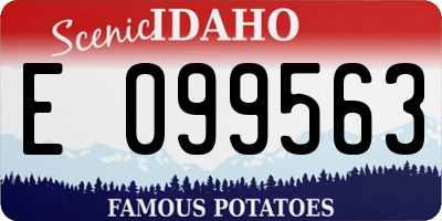 ID license plate E099563