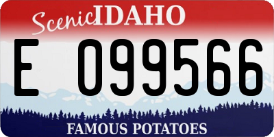 ID license plate E099566
