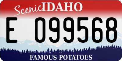 ID license plate E099568