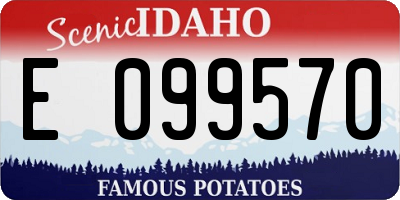 ID license plate E099570