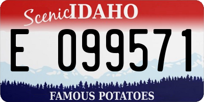 ID license plate E099571