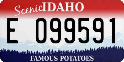 ID license plate E099591