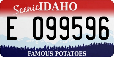 ID license plate E099596