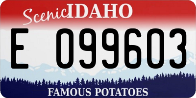 ID license plate E099603