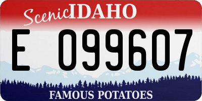 ID license plate E099607