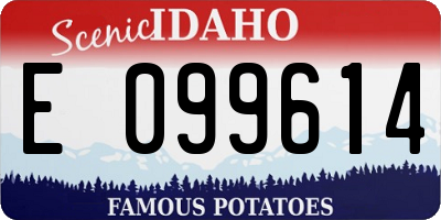 ID license plate E099614
