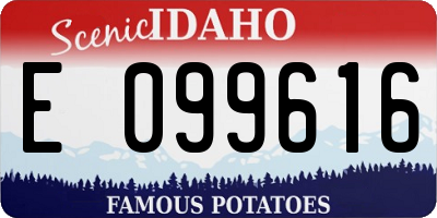 ID license plate E099616