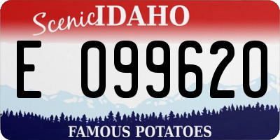 ID license plate E099620