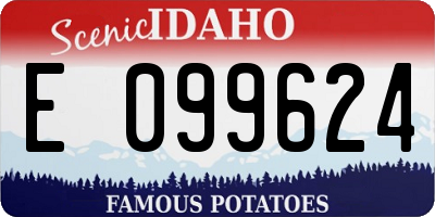 ID license plate E099624