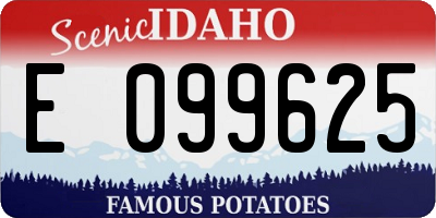 ID license plate E099625
