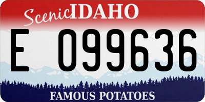 ID license plate E099636