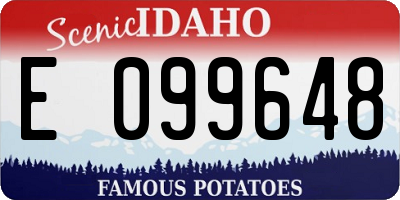 ID license plate E099648