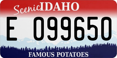 ID license plate E099650