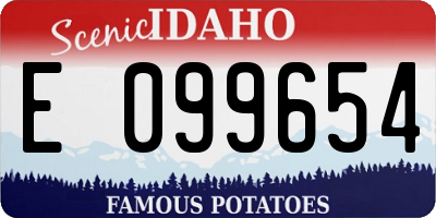 ID license plate E099654
