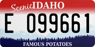 ID license plate E099661