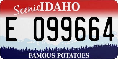 ID license plate E099664
