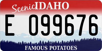 ID license plate E099676
