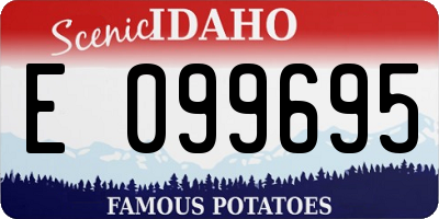 ID license plate E099695