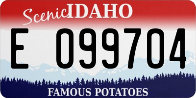 ID license plate E099704