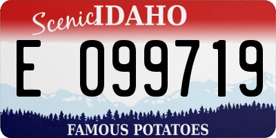 ID license plate E099719