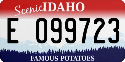 ID license plate E099723