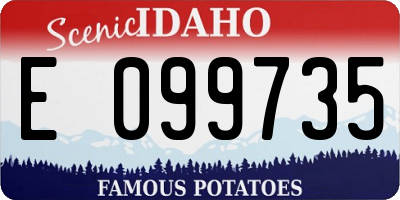 ID license plate E099735