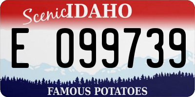 ID license plate E099739