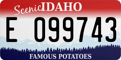 ID license plate E099743