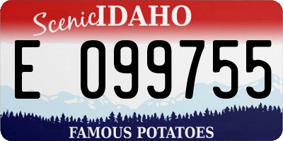 ID license plate E099755