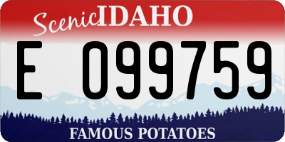ID license plate E099759