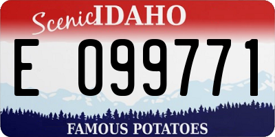 ID license plate E099771